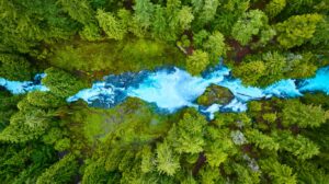 Aerial View of Vibrant Forest and Blue River Rapids in Pacific Northwest.