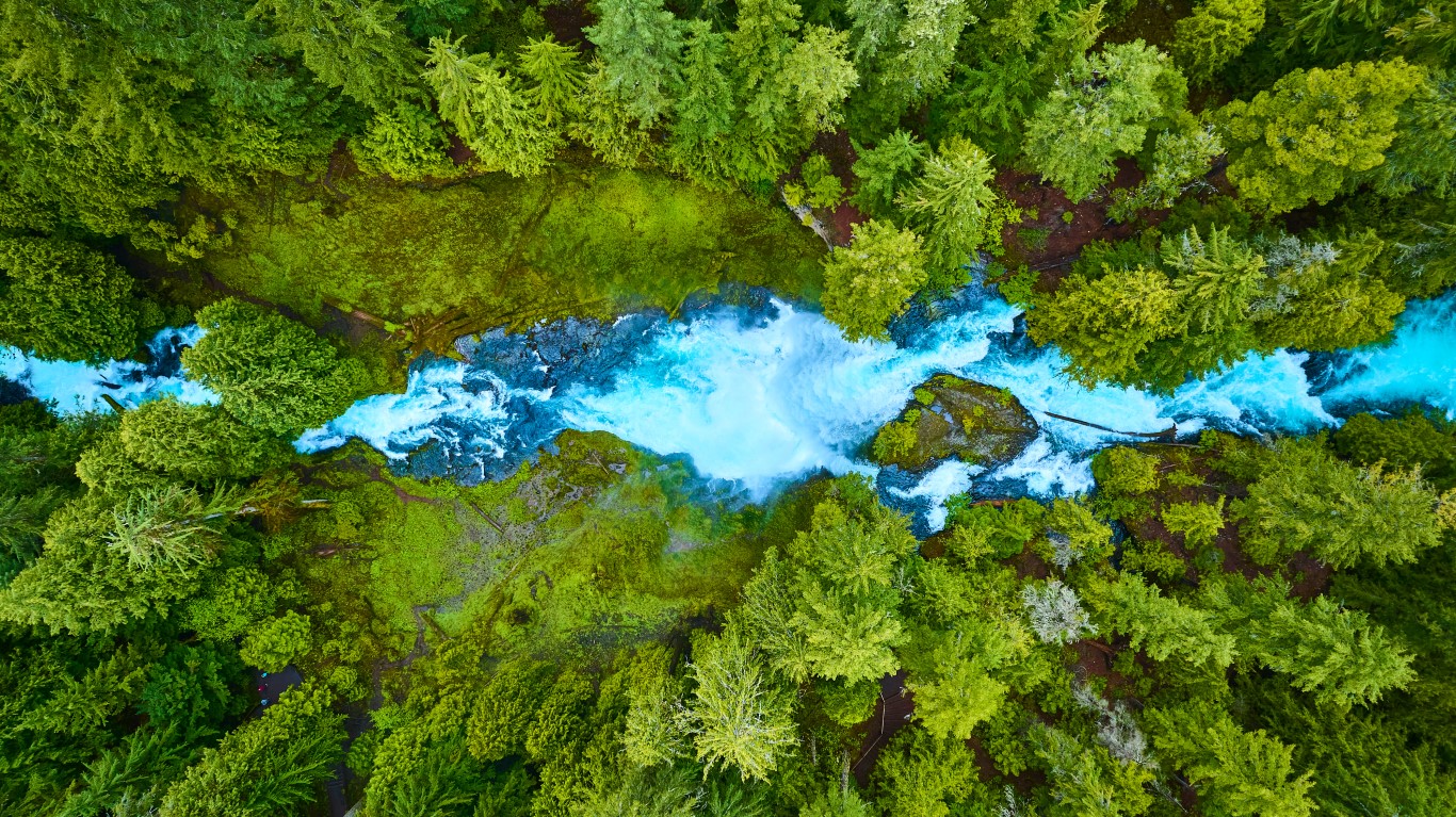 Aerial View of Vibrant Forest and Blue River Rapids in Pacific Northwest.